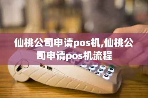 仙桃公司申请pos机,仙桃公司申请pos机流程-第1张图片-银联POS机中心