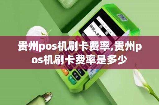 贵州pos机刷卡费率,贵州pos机刷卡费率是多少-第1张图片-银联POS机中心