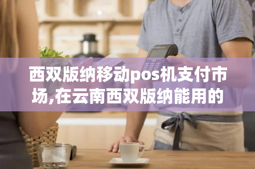 西双版纳移动pos机支付市场,在云南西双版纳能用的pos机